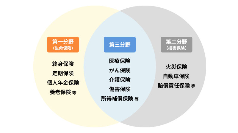 死亡保険と生命保険の違い