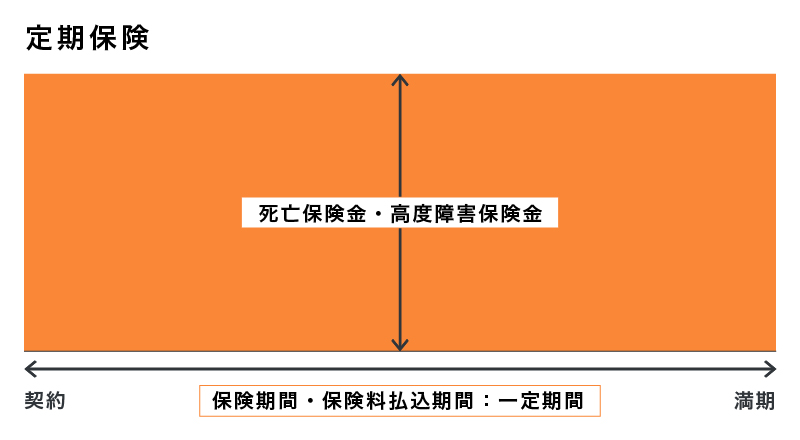 定期保険