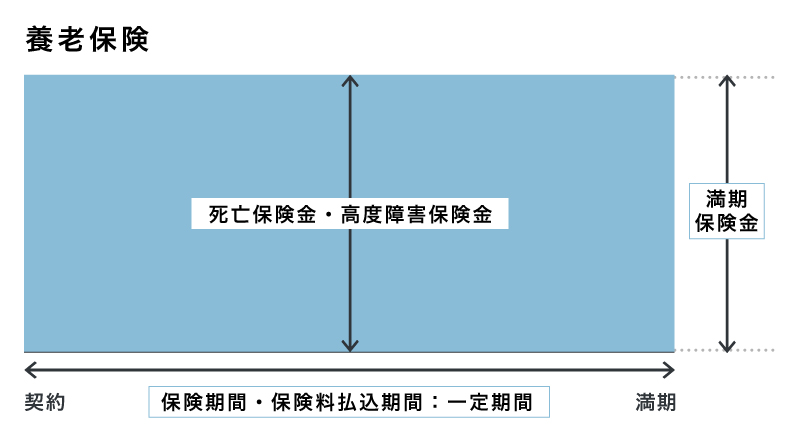 定期保険